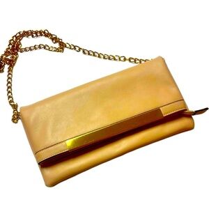 Aldo Pamela clutch/crossbody.